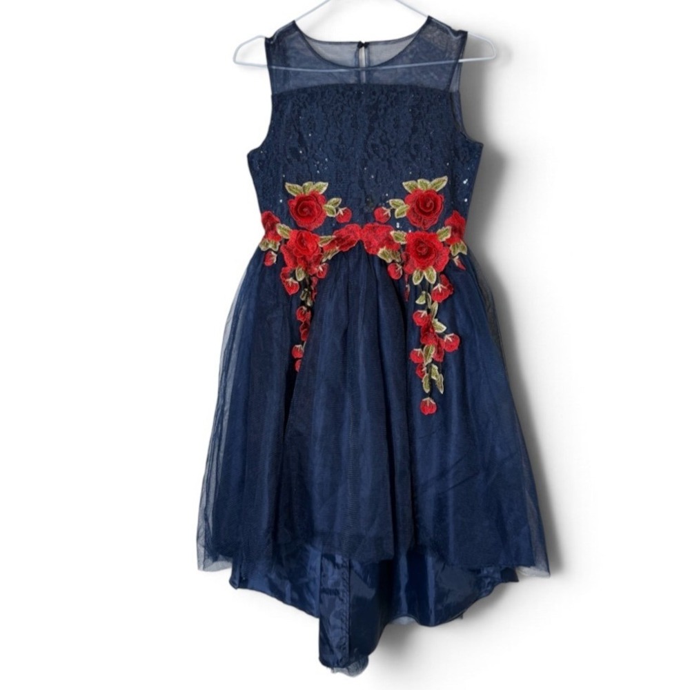 Nanette Lepore Girls Navy Blue Lace Tulle Dress Red Rose Floral Applique XL 16